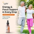 LUV Health Flow Drops Mushroom Supplement, Lion’s Mane, 30 Servings (3 ...