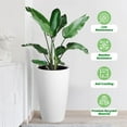 thumbnail image 4 of 22" Tall Round Planter Set of 2, Self Watering Pots for Indoor & Outdoor Plants, Large Flower Pot With Built-In Drainage and a Water Level Monitor, for Patio, Porch, Living Room, Office, White, 4 of 9