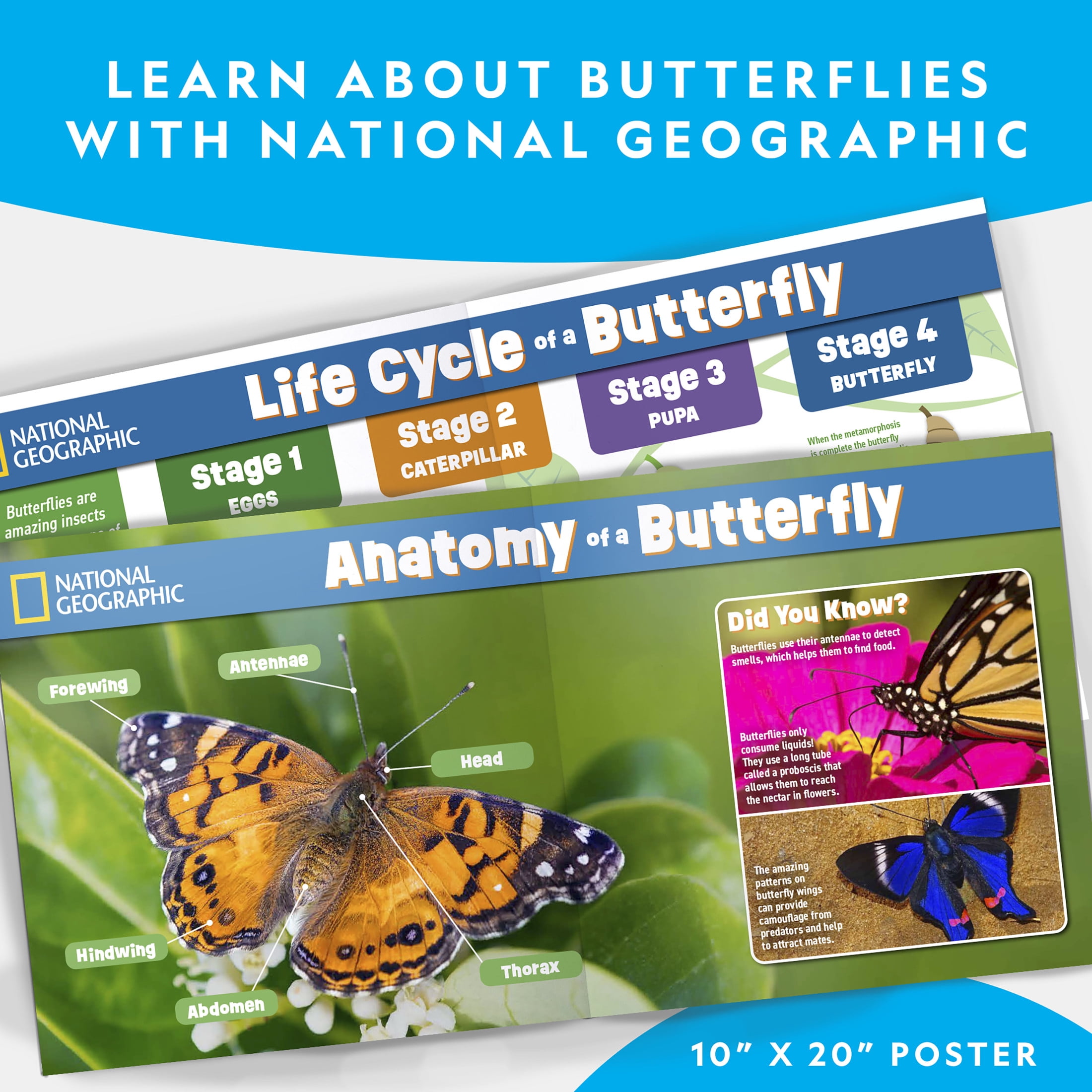 Nat Geo Butterfly Kit for Preschool Classroom Learning - Walmart
