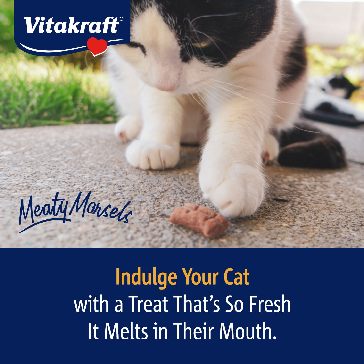 Vitakraft Meaty Morsels, Soft Cat Treats, Chicken with Pumpkin, 4 Count Multi-Pack