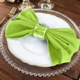 thumbnail image 6 of Efavormart Cloth Napkins Set of 10, 20x20  Inch Lime Green Seamless Dinner Napkins, Washable Linen Table Napkin Cloth with Hemmed Edges for Weddings, Party and Banquet, 6 of 10
