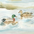 thumbnail image 2 of Coulter, Cynthia 12x12 Gold Ornate Wood Framed with Double Matting Museum Art Print Titled - Woodland Reflections V-Mallards, 2 of 4