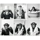 thumbnail image 1 of Lote de 6 lienzos decorativos para baño, sin marco, impermeables, con divertidos chimpancés, en blanco y negro, de 8 x 10 pulgadas., 1 of 9