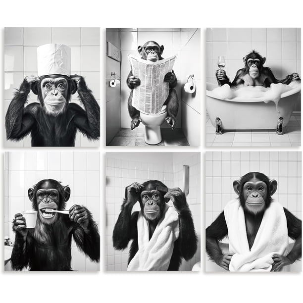 Lote de 6 lienzos decorativos para baño, sin marco, impermeables, con divertidos chimpancés, en blanco y negro, de 8 x 10 pulgadas.