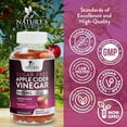 thumbnail image 5 of Apple Cider Vinegar Gummies for Weight Loss - Sugar Free - Max Strength ACV Gummy with Vitamin B12 & The Mother - Metabolism & Energy Support - Vegan Apple Cider Vinegar Gummy Supplement - 60 Gummies, 5 of 10