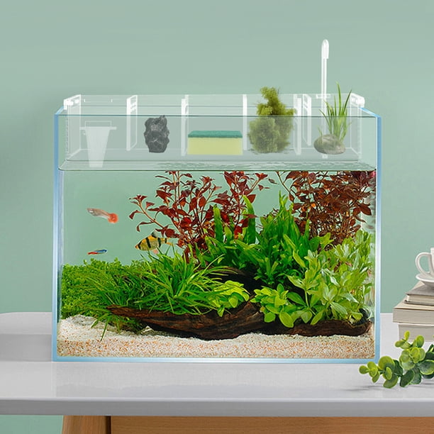 clear floating box for fish tank Breeder Fish Hatchery Fish Breeding Box with Removable Grating Perfect Fish Divider Agreesive Injured Pregnant Fishes : Pet Supplies Color:Blue Pirate WMW006 Images are customer provided Off the Hook Legacy Sap_subcategory:Conventional Reels