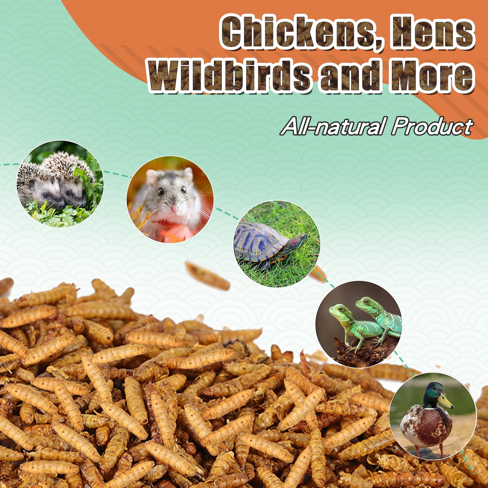 RIDWIND Dried Black Solidier Fly Larvae 44Lbs High-Protein BSF Larvae Chicken Treats Non-GMO BSFL for Chickens Hens, Ducks Wild Birds