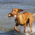 thumbnail image 2 of Juguete masticable para perros con aroma a maíz y carne; juguete interactivo duradero para mascotas, de terciopelo con forma de piña, que chirría y limpia los dientes, 2 of 4