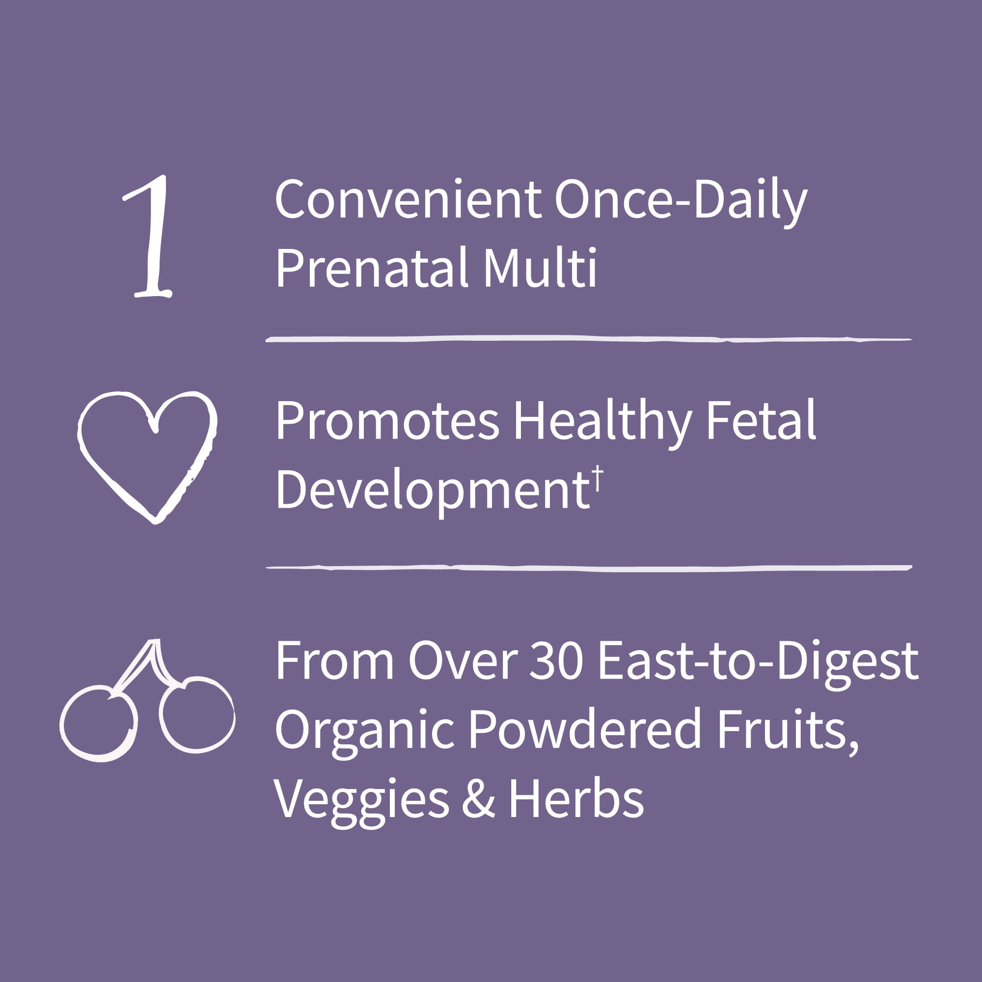 Garden of Life Organics Prenatal Multivitamin, with Folate and Vegan D3 - Once Daily for Pregnant & Lactating Women - 1 Month Supply