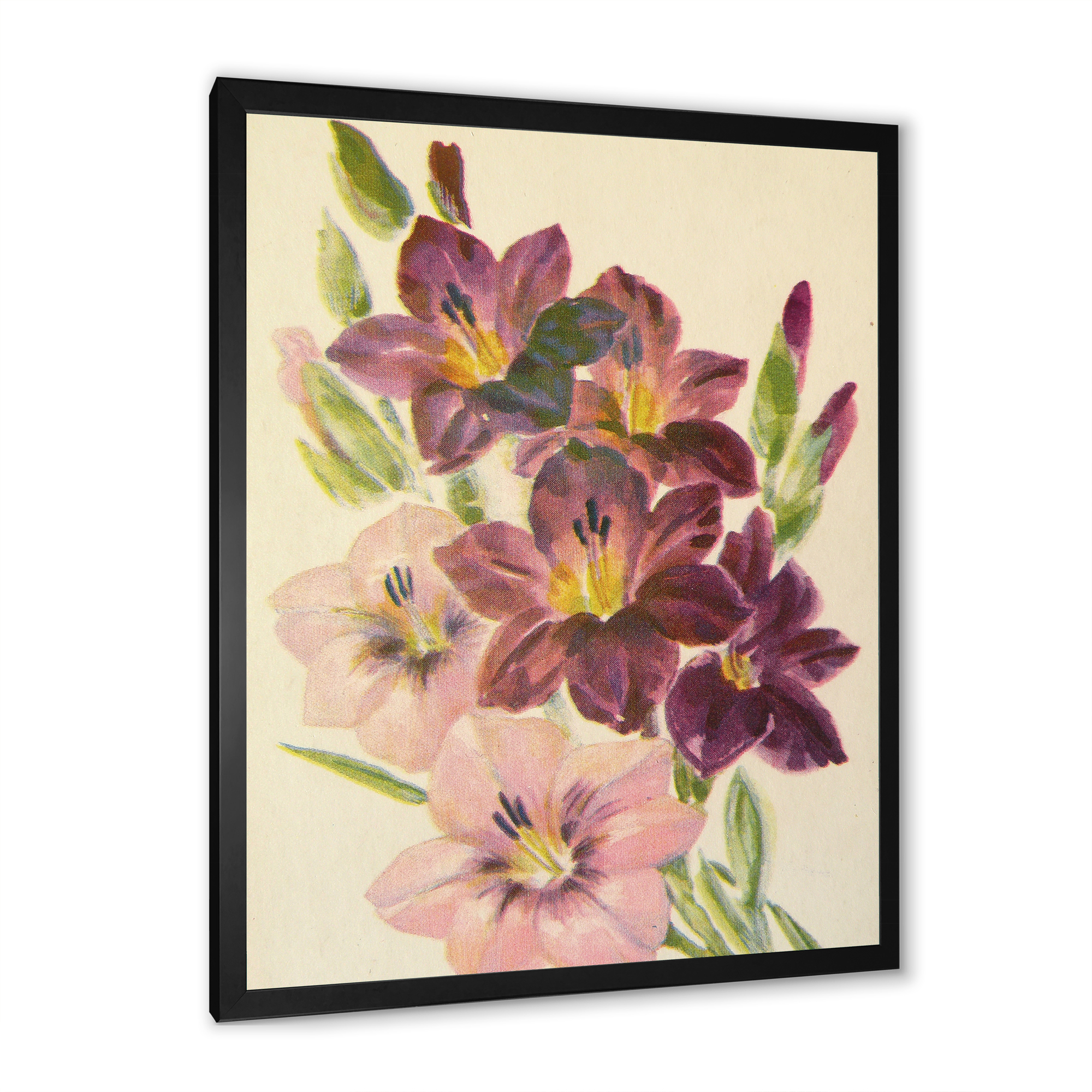 Designart 'Retro Dark and Light Pink Gladiolus' Traditional Framed Art Print