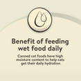 thumbnail image 3 of Vibrant Life Beef Dinner Classic Pate Wet Cat Food, Grain-Free, 3 oz Can, 3 of 14
