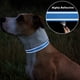 thumbnail image 5 of Collar para perros TagMe reflectante de nailon ajustable para perros pequeños, 5 of 7