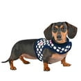 thumbnail image 1 of Joceline Jacket Dog Harness By Pinkaholic - Navy - Medium, 1 of 1