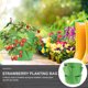 thumbnail image 4 of SOPOTUTU 1Ud Maceta Colgante De Fieltro Para Plantar Fresas Y Otras Plantas En Balcones, 4 of 8