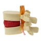 thumbnail image 1 of Speravity Modelo de vértebras lumbares, herramienta de enseñanza fácil y eficaz, herramienta de enseñanza médica, modelo de accesorios Material de laboratorio amarillo, 1 of 6