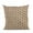 Brown, variant on Brown Eyelashes Dot Luxury Throw Pillow - 20 x 30 in. Queen Size