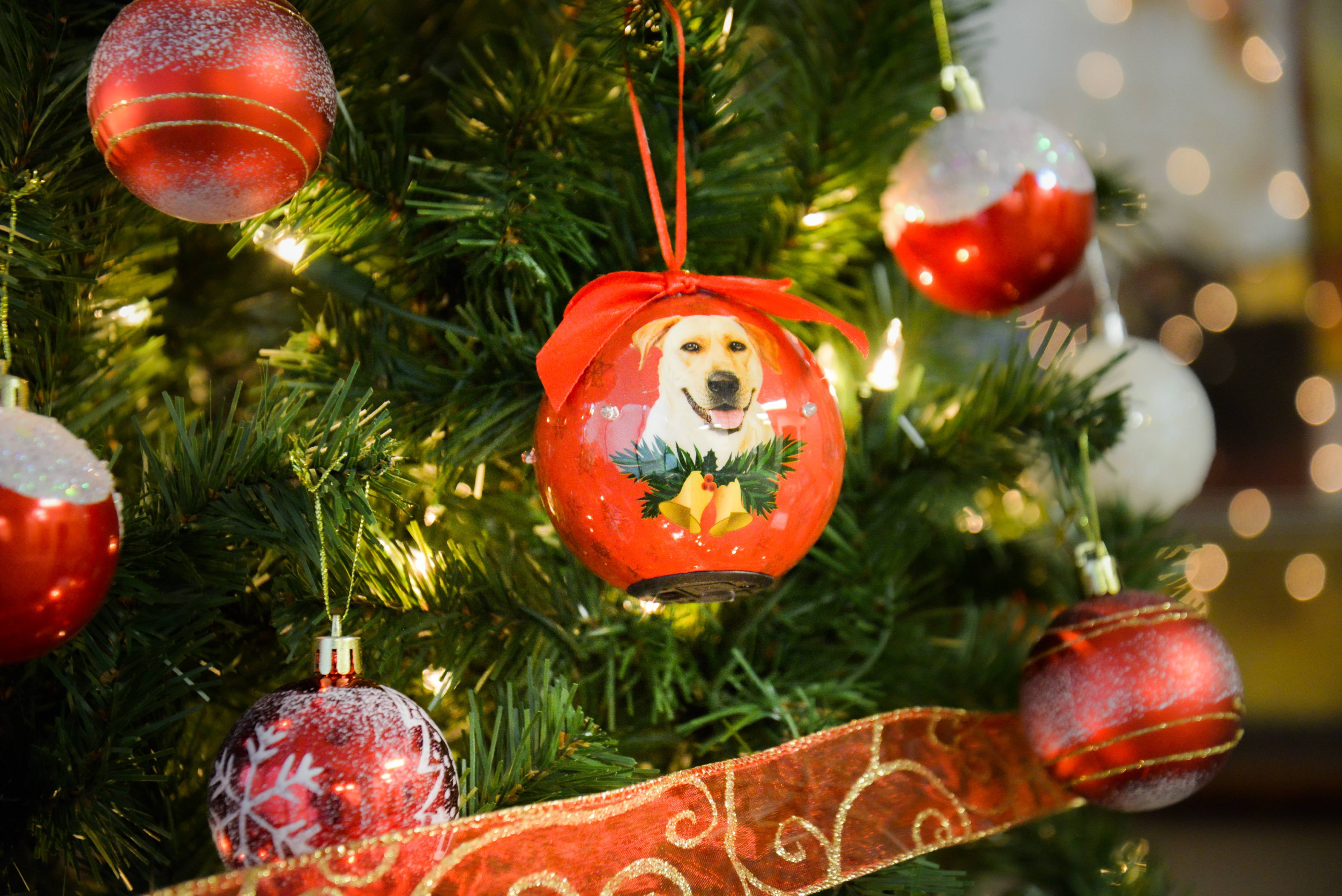 Dog Collection Twinkling Lights Christmas Ball Indoor Decorative Ornament