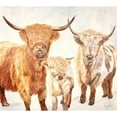 thumbnail image 3 of Fifer, Diane 22x20 Black Modern Framed Museum Art Print Titled - Hairy Highland Cattle, 3 of 5