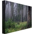 thumbnail image 2 of Trademark Fine Art Beata Czyzowska Young Land of OZ Canvas Wall Art - 18x24, 2 of 2