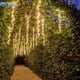 thumbnail image 3 of Guirnalda de luces LED navideñas, guirnalda de luces LED Racimos, guirnalda de luces para patio, fiesta, boda, fiesta, jardín, cortina, decoración de árboles, 3 of 4