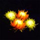 thumbnail image 3 of Lámpara Solar de crisantemo, 2 uds., luz de jardín, flores artificiales, césped, paisaje, jardín, decoración exquisita, creativa Iluminación y accesorios Crisantemo rosa crisantemo rosa Advancent HA073440-03, 3 of 6