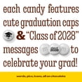 thumbnail image 4 of M&M'S Class of 2028 Graduation Milk Chocolate Candy, 5lb Resealable Bulk Bag, 4 of 9