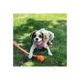 thumbnail image 2 of Chuckit! Pet Sport Ball Launcher - Lanceur de Balles - pour Chiens, 2 of 2