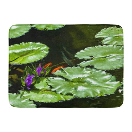 GODPOK Goldfish Green Fish Lilly Pads on Pond with Purple Water Lillies Fishpond Leaf Rug Doormat Bath Mat 23.6x15.7