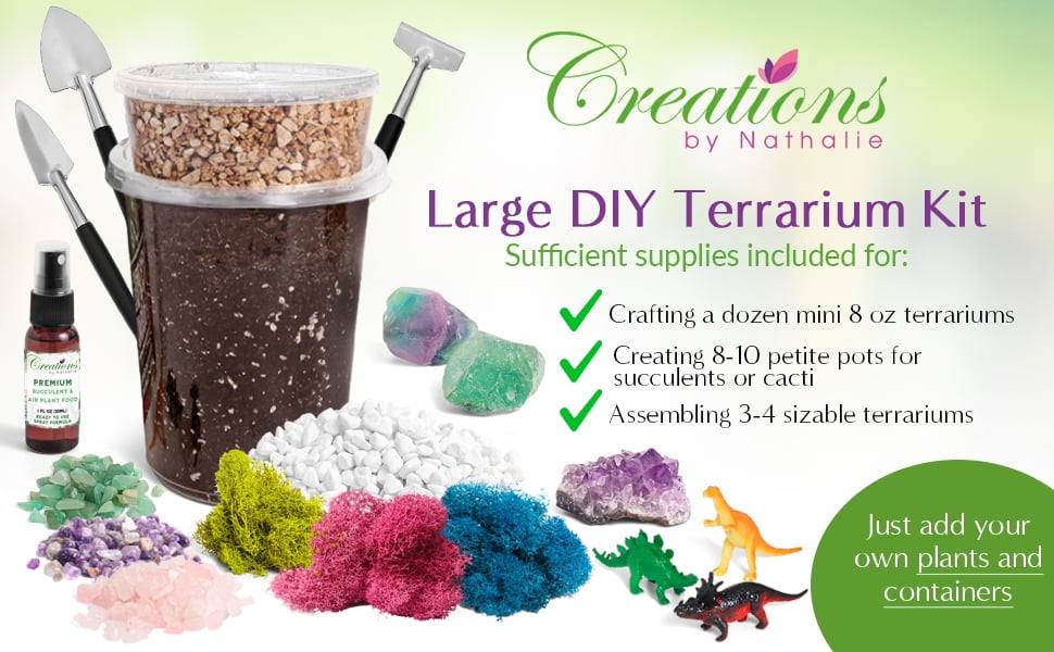 Creations by Nathalie DIY Terrarium Kit - For Succulents, Cacti & More