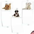 thumbnail image 5 of 10 All Occasion Blank Note Cards Pack (4 x 5.12 Inch) - COPY CATS M6596OCB, 5 of 6