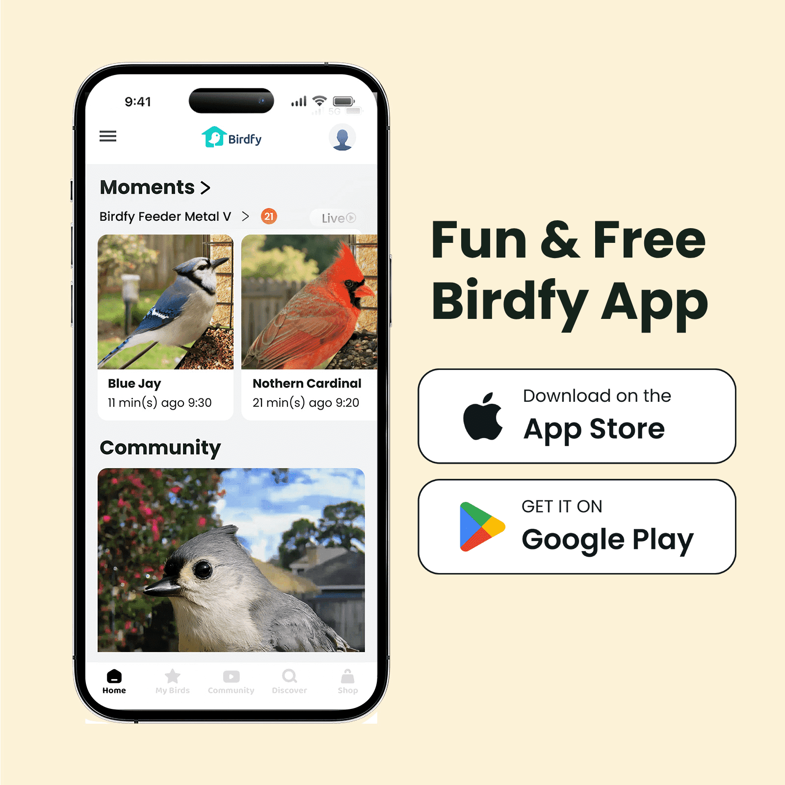Birdfy Smart Bird Feeder with Camera, 1080P HD, 60FPS Video, AI Bird Identification, Night Vision, Cloud Storage, Suet Holder, Gift for Bird Lovers, Metal V