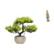 thumbnail image 1 of Árbol bonsái artificial,Árbol bonsái artificial para decoración de escritorio de interior y hogar,Estatua de Lutero,Estatua de la Virgen María Figura Colección Religiosa,Figura de resina, 1 of 8