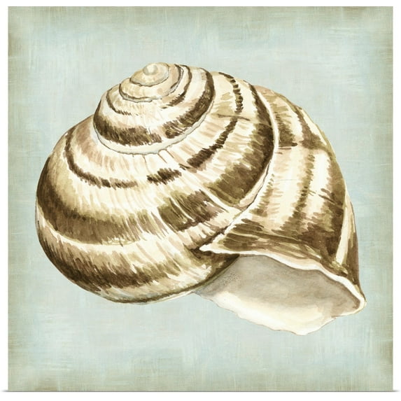 Great BIG Canvas | "Sea Dream Shells I" Art Print - 20x20