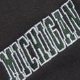 thumbnail image 3 of Youth Stadium Athletic Charcoal Michigan State Spartans Big Logo Pullover Hoodie, 3 of 3
