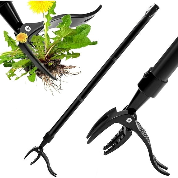 ZUOBAN Stand-up Weed Puller Tool  with Long Handle Weed Picker 4-Claw Steel Head,  Garden Tool