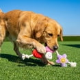 thumbnail image 5 of Oodles Durable Lucky and Fruit Plush Dog Toy Set, Multicolored, One Size, 5 of 8