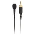 thumbnail image 6 of RODE RODELINK LAV Professional Wearable Microphone With Locking TRS, 6 of 7