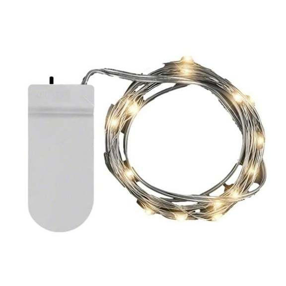 Blinkee 80WSL-WWM 80 in. LED Wire String Lights, Warm White