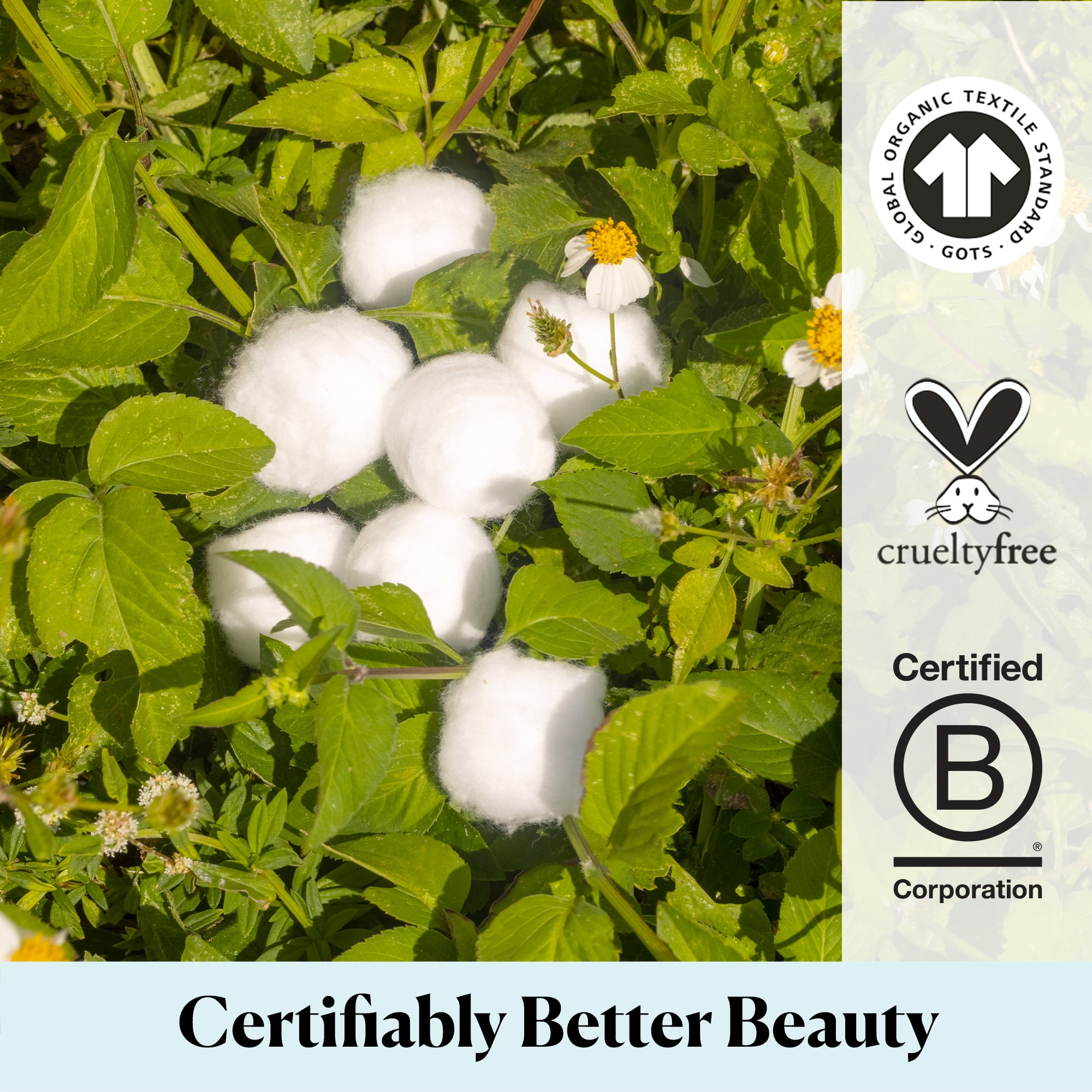 (3 pack) Sky Organics Organic Jumbo Cotton Balls For Sensitive Skin, 100% Pure Organic Cotton Sustainably Grown, Chlorine Free, Hypoallergenic, Ultra-Soft and Absorbant for Beauty & Personal Care, 100 ct.