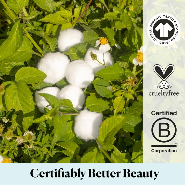 Natural Cotton Bolls (12 Bolls) - Save-On-Crafts