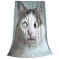 thumbnail image 2 of Honeii Funny Cat Print Fleece Blanket - Throw Blanket for Bed, Sofa, Couch, Camping, and Travel , Microplush Ultra Soft Warm Blanket-60"x50", 2 of 7