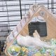thumbnail image 5 of Indoor Breeding Cage Clear Bird Shelter Wooden Bird Nest+Perch C, 5 of 5