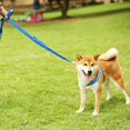 thumbnail image 3 of Classic double handle dog leash approximately 4.9' long by 1, 3 of 3