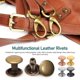thumbnail image 5 of unbranded 100Ud Rivet Kit Con Remaches Metálicos Y Colores Surtidos Para Proyectos En Cuero, 5 of 6