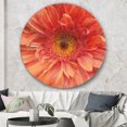 thumbnail image 2 of Designart'marguerite Rouge Vif' Art Mural Cercle en Métal Traditionnel - Disque de 36, 2 of 5