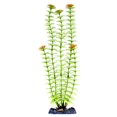 thumbnail image 1 of 13 in. Ambulia Aquarium Decor, 1 of 1