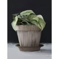thumbnail image 3 of House Fenway 15x18 Black Modern Framed Museum Art Print Titled - Farmhouse Philodendron, 3 of 5
