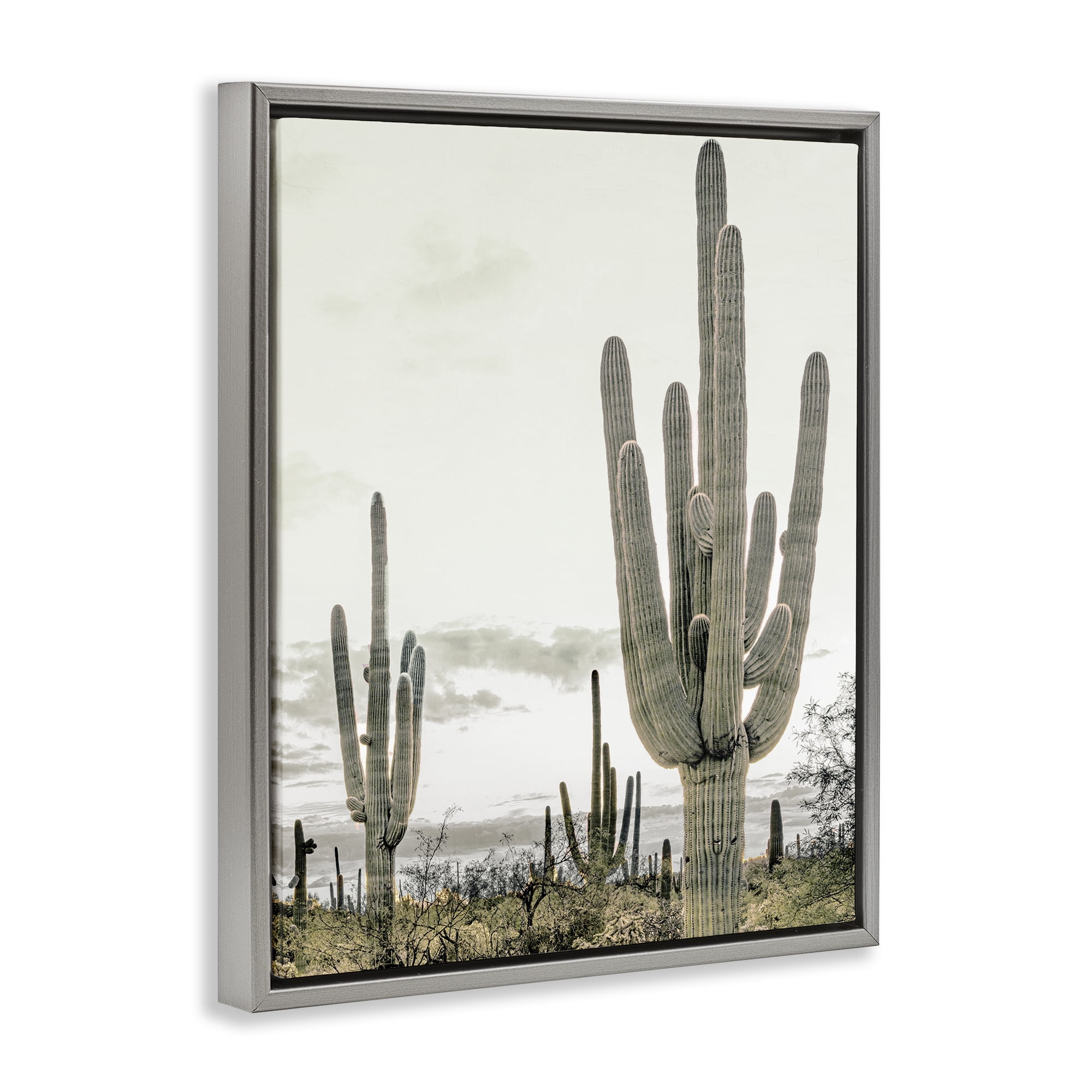 Stupell Industries Subdued Desert Cacti Gray Framed Floater Canvas Wall Art, design by Kim Allen