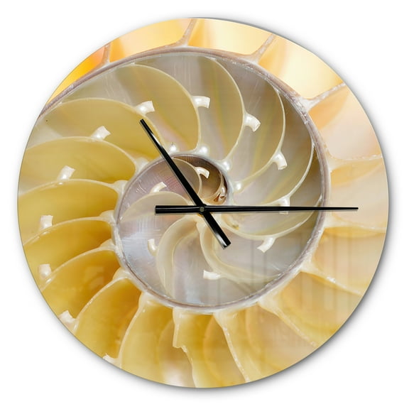 Designart 'Isolated Nautilus Shell ' Modern wall clock