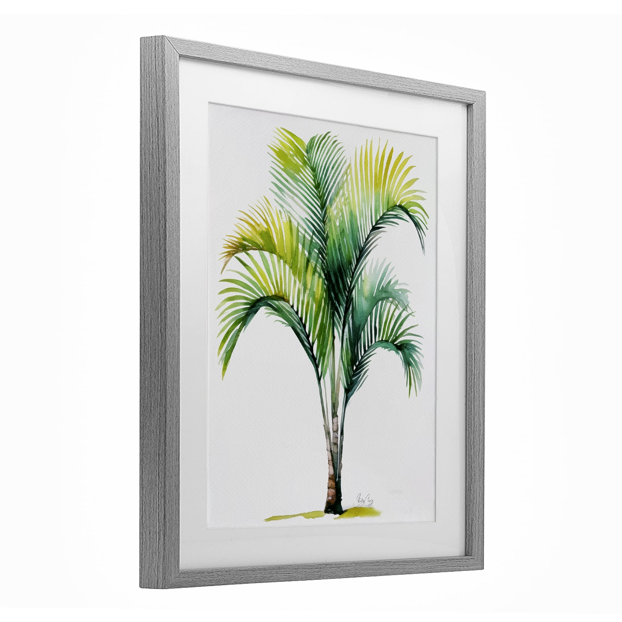 Stupell Industries Coastal Canopy Palm Tree Gray Framed Print Under Glass, design by Shelly Craig